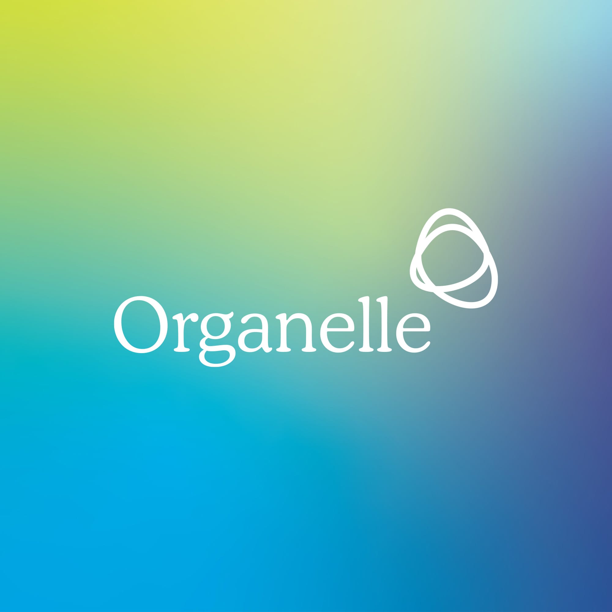 portfolio featured image